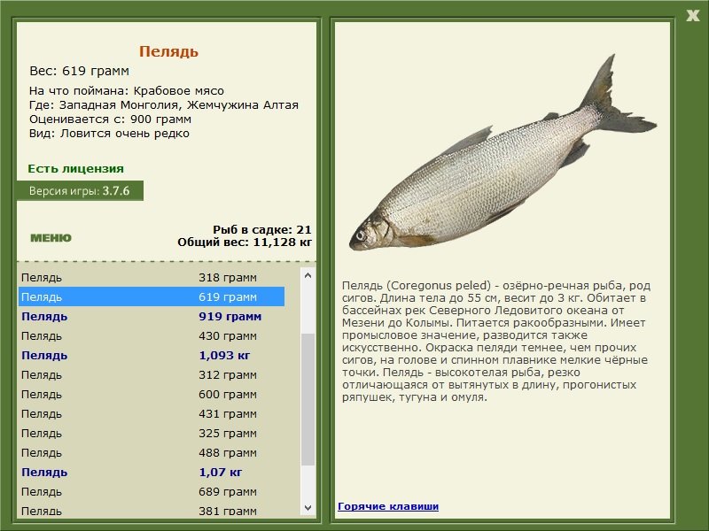 турниры • РУССКАЯ РЫБАЛКА