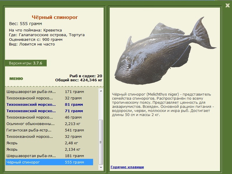турниры • РУССКАЯ РЫБАЛКА