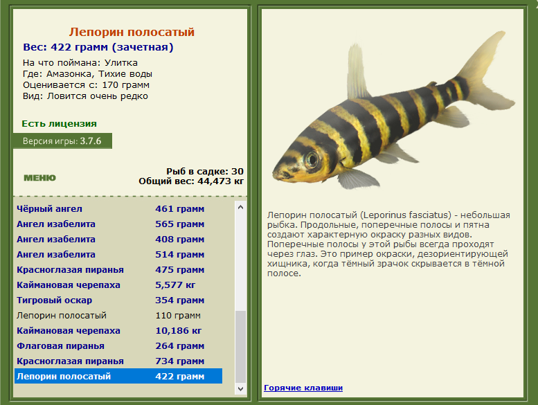 РУССКАЯ РЫБАЛКА Installsoft Edition 