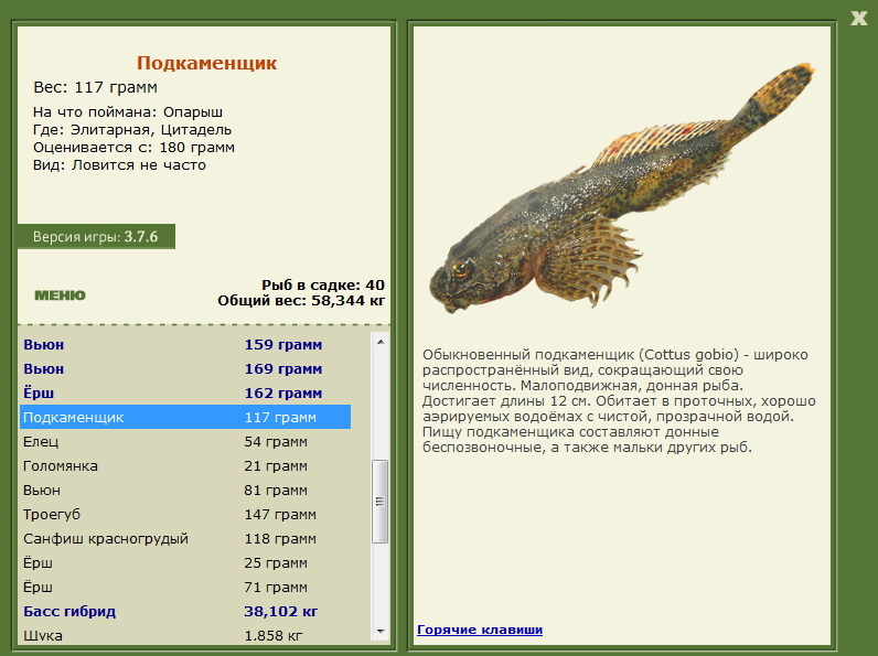 турниры • РУССКАЯ РЫБАЛКА