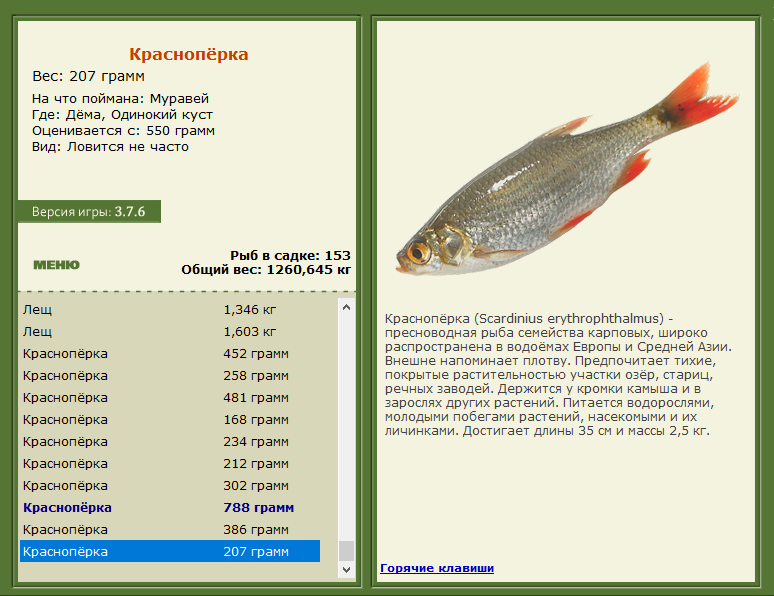 РУССКАЯ РЫБАЛКА Installsoft Edition 