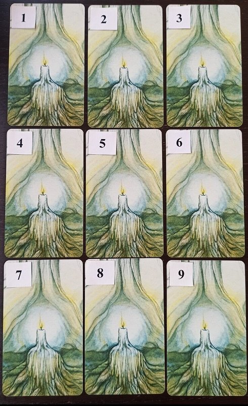 169483004528138784.jpg