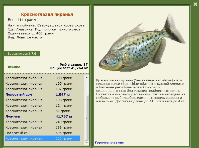  забор • Praise-турниры • РУССКАЯ РЫБАЛКА