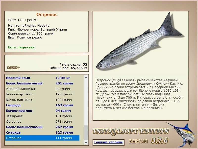  забор • Praise-турниры • РУССКАЯ РЫБАЛКА