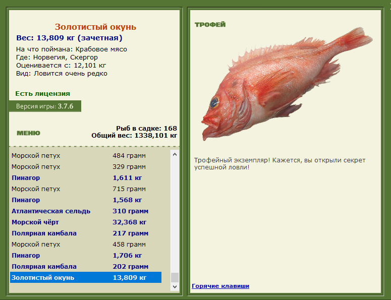 Золотистый окунь 