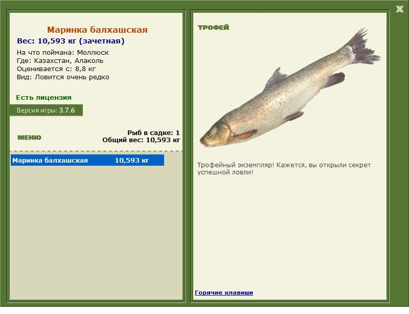 Маринка балхашская 