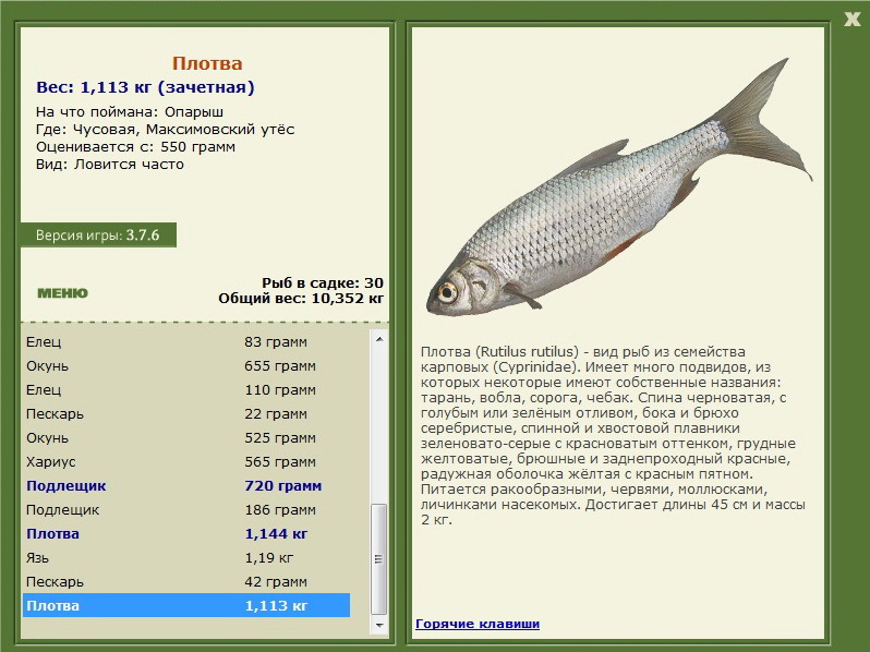  забор • Praise-турниры • РУССКАЯ РЫБАЛКА
