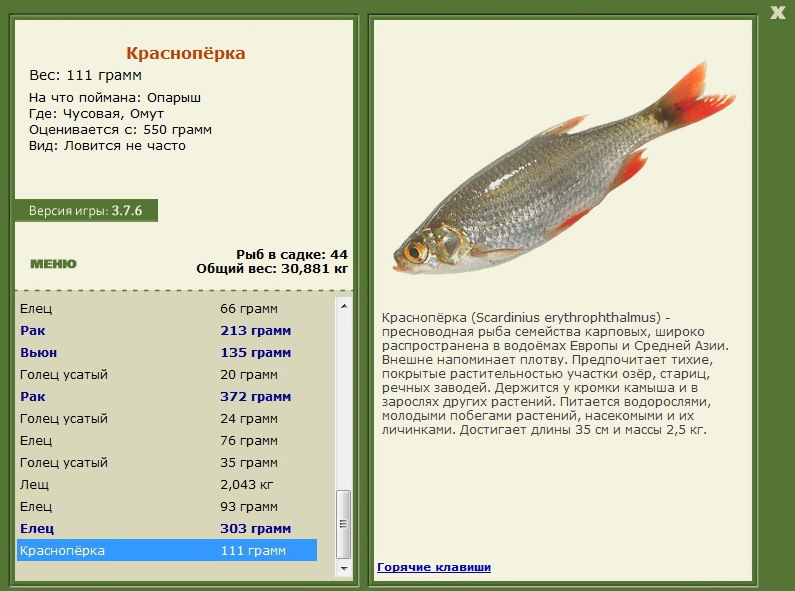 турниры • РУССКАЯ РЫБАЛКА