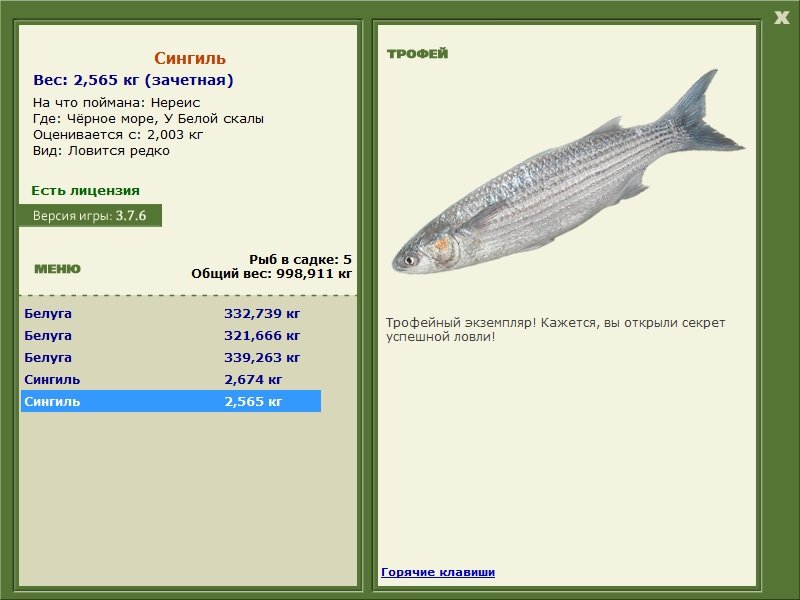 Сингиль 