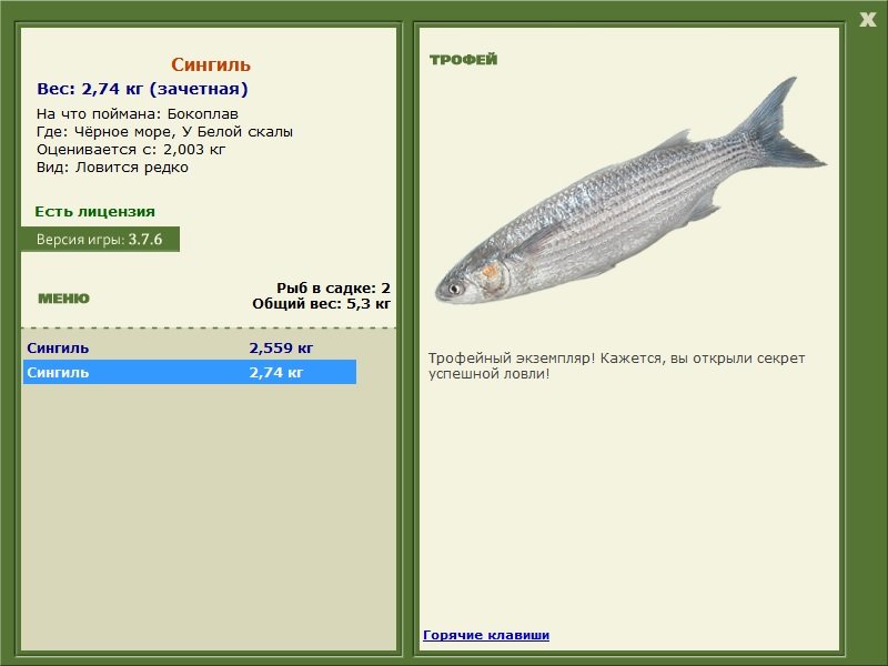 У Белой скалы 