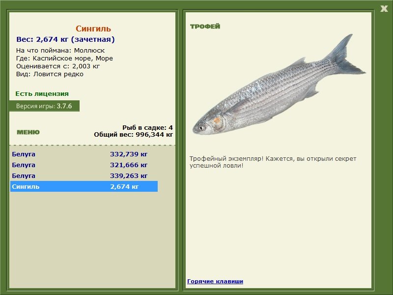 Море 