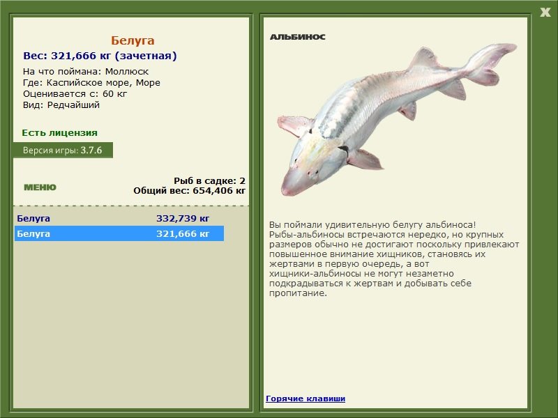Море 