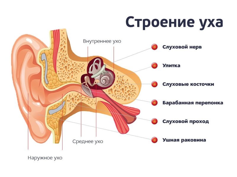 Акустические системы: любые вопросы