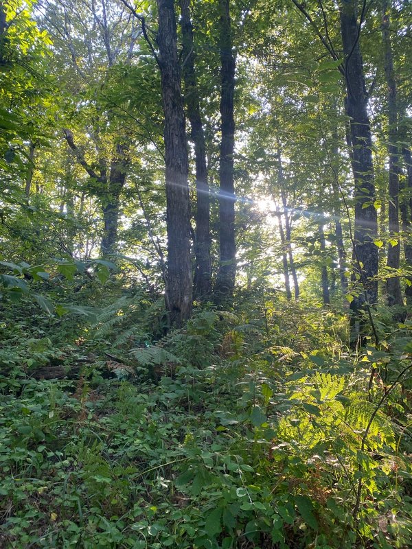  Страница 10 - Форум 