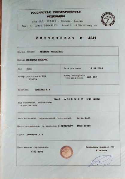 Изображение
