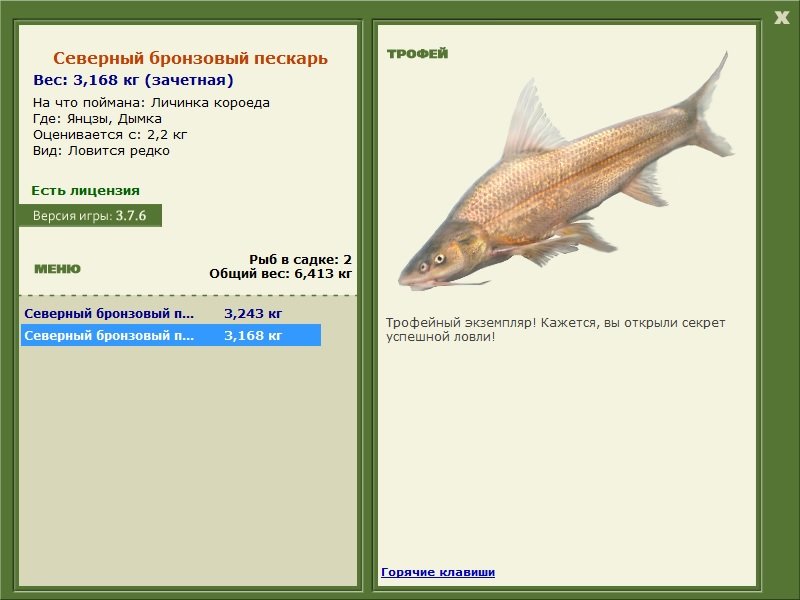 Северный бронзовый пескарь 