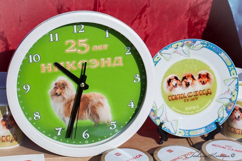  КОСТРОМСКАЯ БАНДА