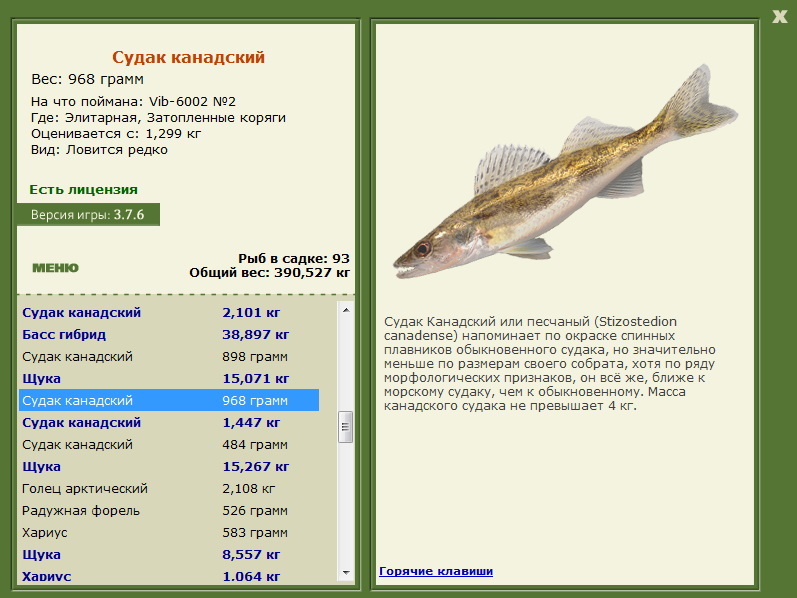 турниры • РУССКАЯ РЫБАЛКА