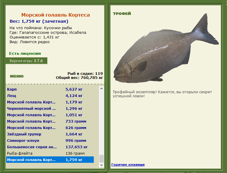 Морской голавль Кортеса 