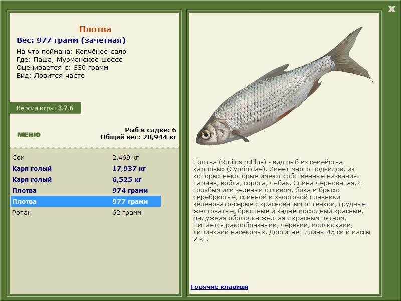 турниры • РУССКАЯ РЫБАЛКА