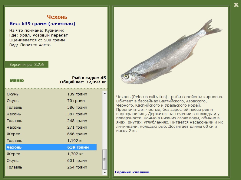 турниры • РУССКАЯ РЫБАЛКА