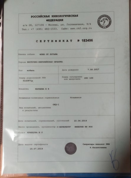 Изображение