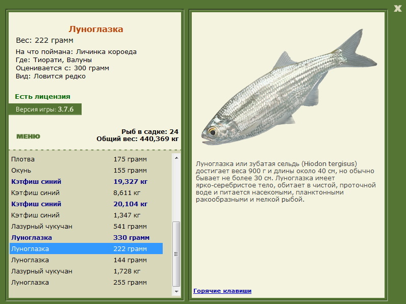 турниры • РУССКАЯ РЫБАЛКА
