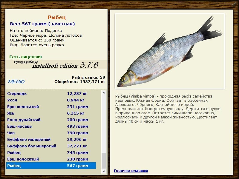 Долина лотосов 