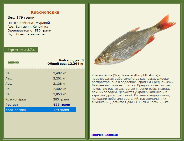 РУССКАЯ РЫБАЛКА Installsoft Edition 