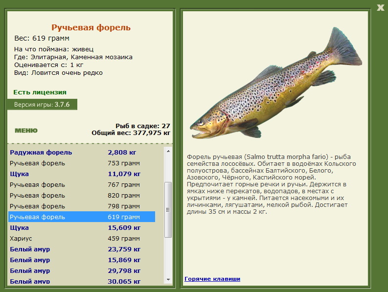турниры • РУССКАЯ РЫБАЛКА