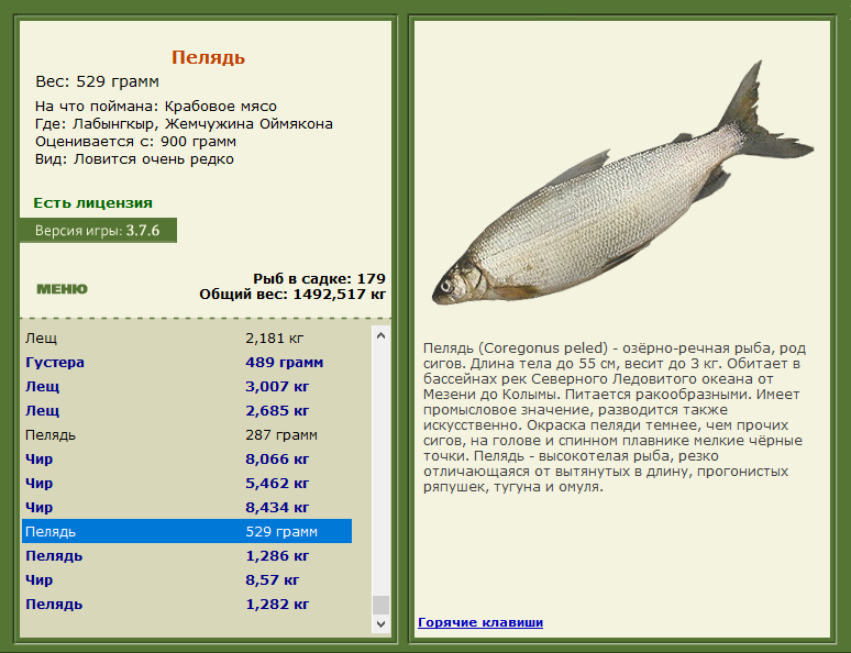 РУССКАЯ РЫБАЛКА Installsoft Edition 