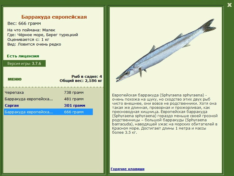 турниры • РУССКАЯ РЫБАЛКА
