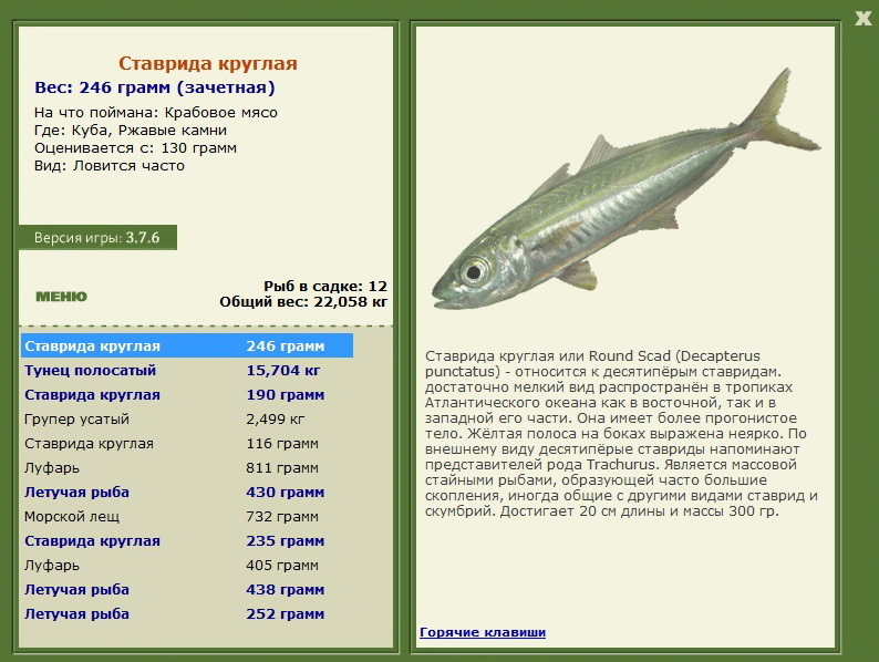 Ржавые камни 