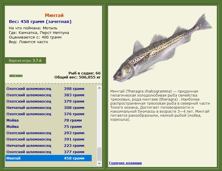 РУССКАЯ РЫБАЛКА Installsoft Edition 