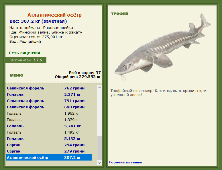 Ближе к закату 