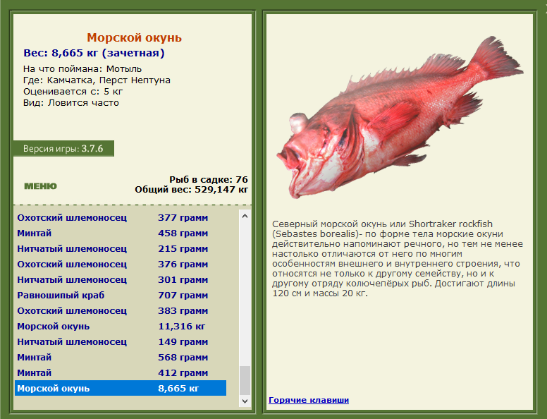турниры • РУССКАЯ РЫБАЛКА
