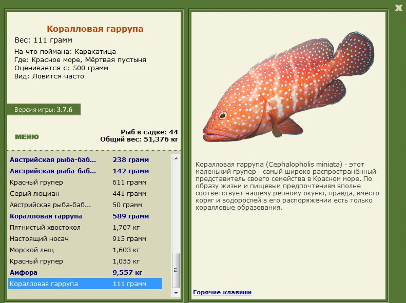 турниры • РУССКАЯ РЫБАЛКА