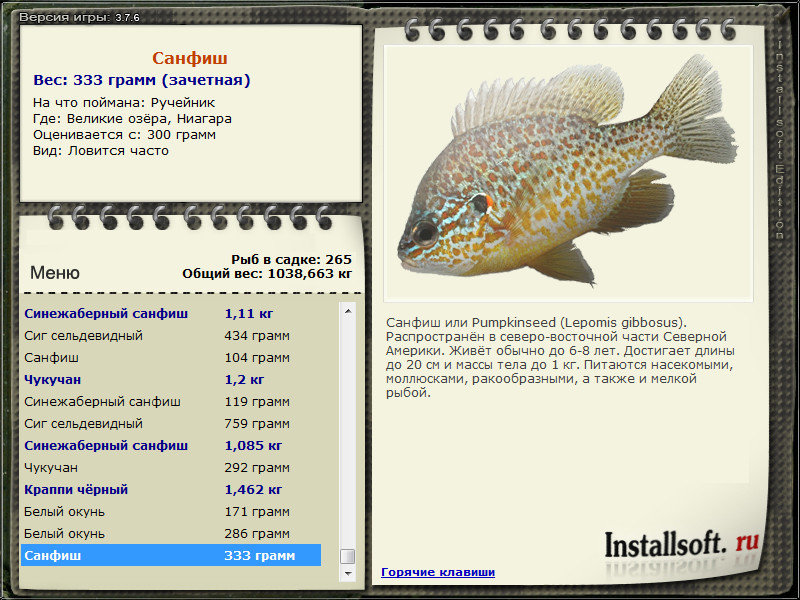 турниры • РУССКАЯ РЫБАЛКА