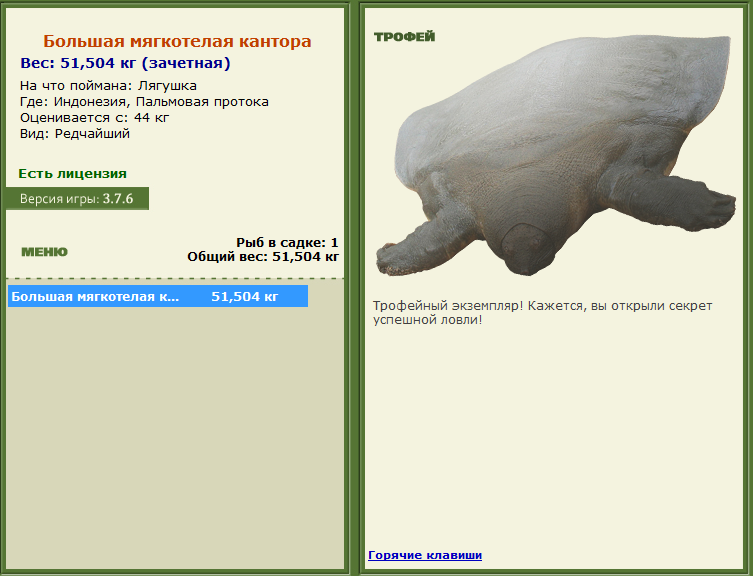 турниры • РУССКАЯ РЫБАЛКА