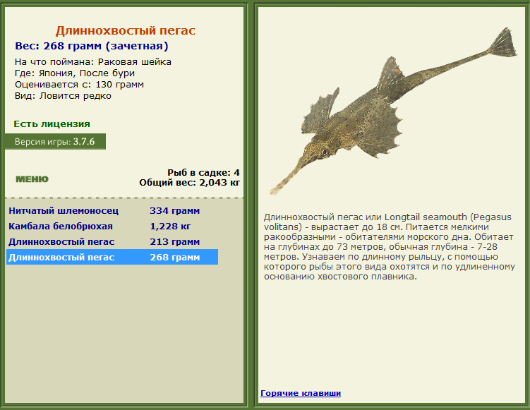 турниры • РУССКАЯ РЫБАЛКА