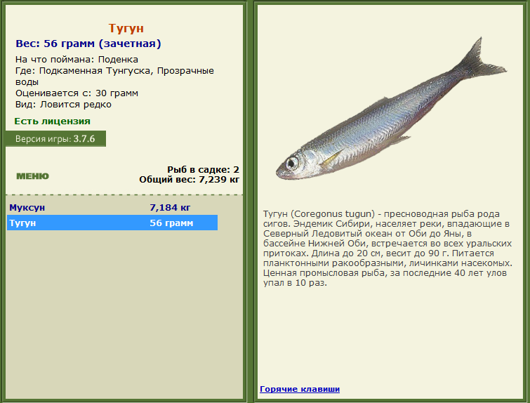 турниры • РУССКАЯ РЫБАЛКА
