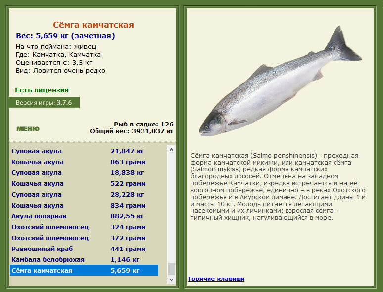 турниры • РУССКАЯ РЫБАЛКА