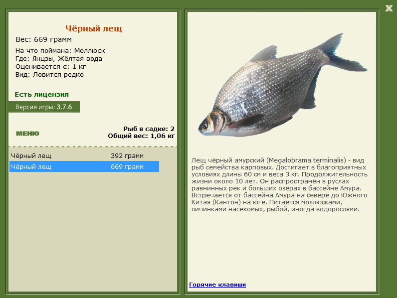 Жёлтая вода 