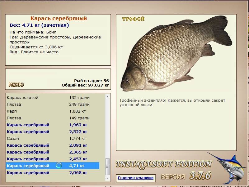 Деревенские просторы 