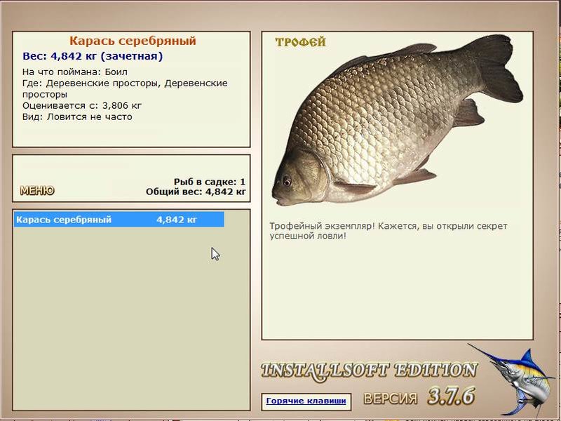 Деревенские просторы 