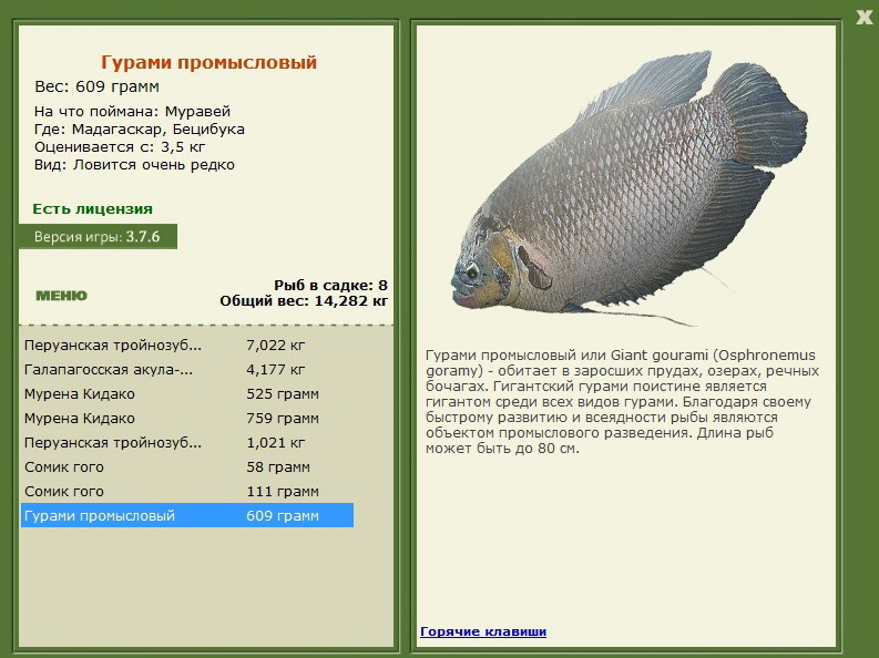 турниры • РУССКАЯ РЫБАЛКА