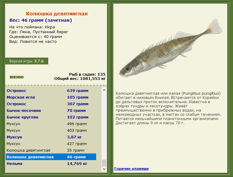 РУССКАЯ РЫБАЛКА Installsoft Edition 