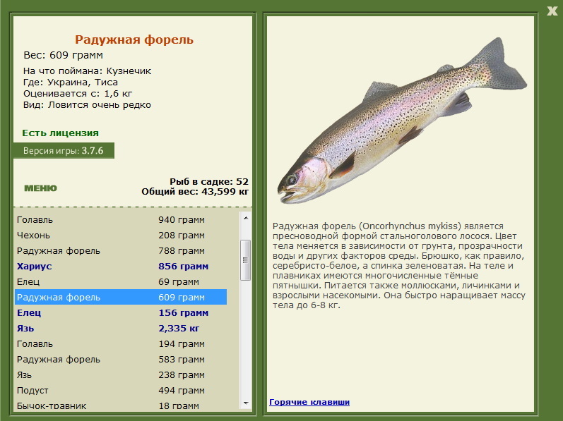 турниры • РУССКАЯ РЫБАЛКА