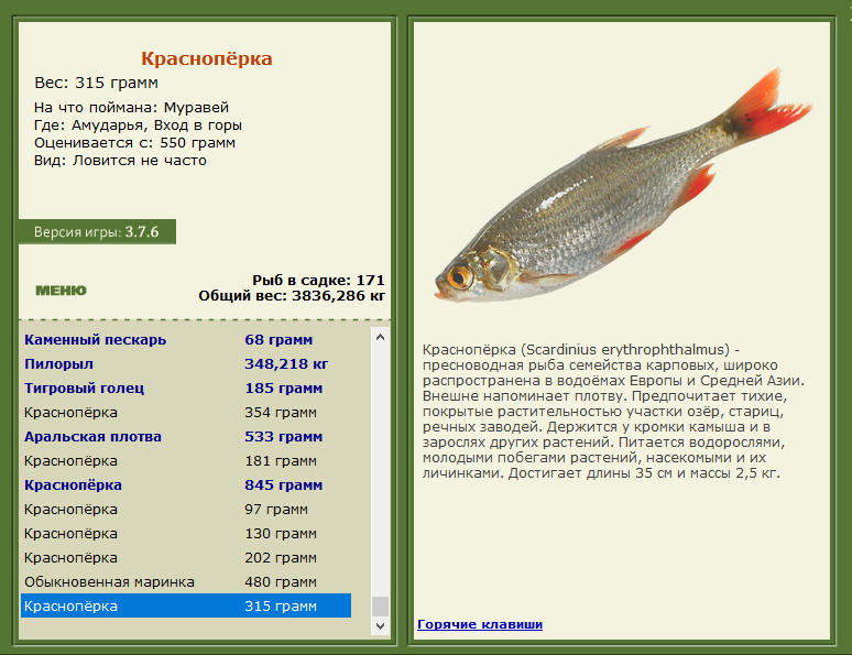 РУССКАЯ РЫБАЛКА Installsoft Edition 