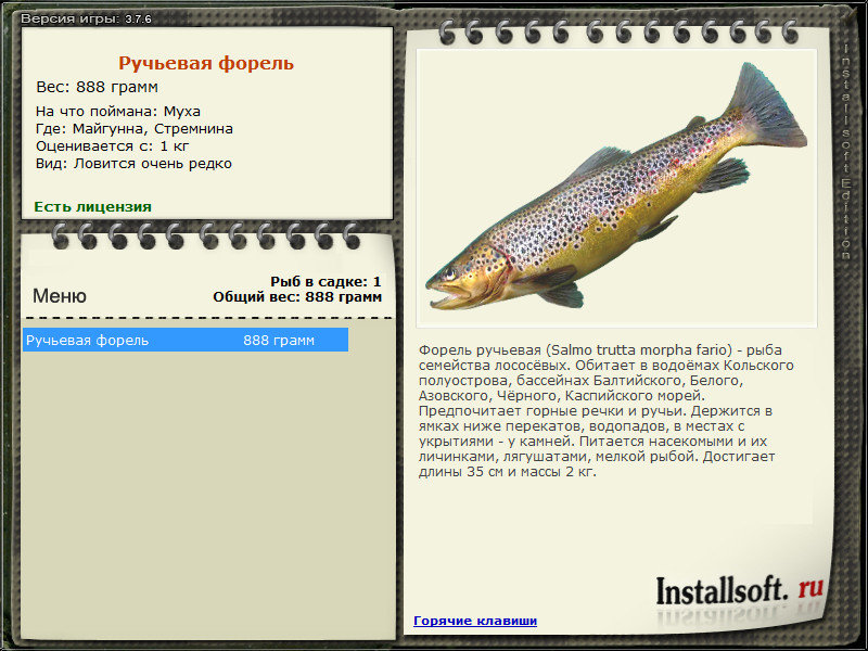турниры • РУССКАЯ РЫБАЛКА